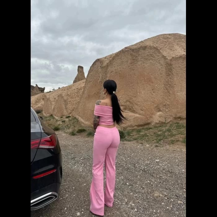 Madonna Collar Wide Leg Trousers Pink Two Piece Suit